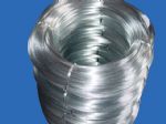 Electro Galvanized Steel Wire